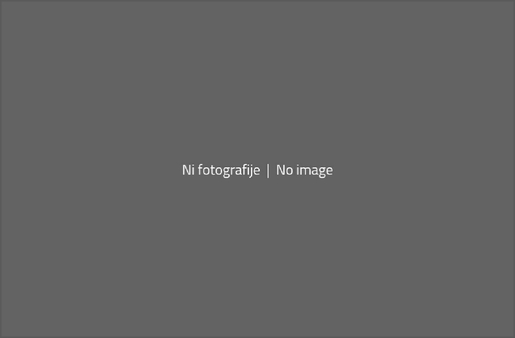 Klikni na fotografijo | Click on Photo