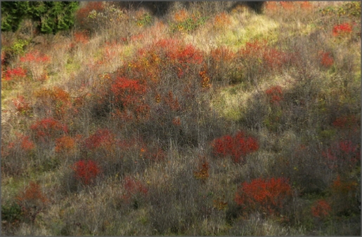 Klikni na fotografijo | Click on Photo